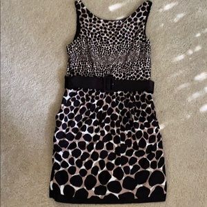 Fun animal print dress with belt and pockets